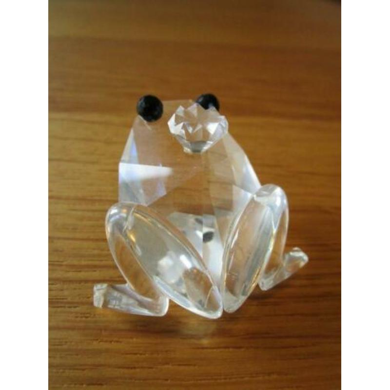 Te koop van Swarovski de Kikker