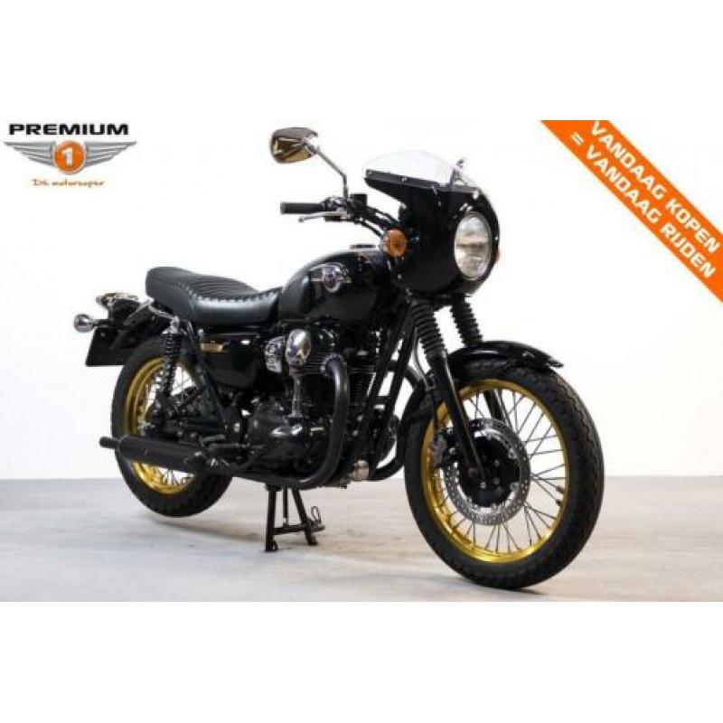 Kawasaki W 800 SE (bj 2012)