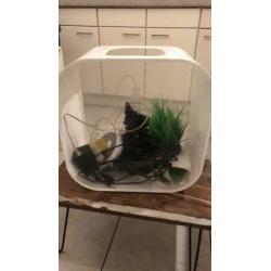 Biorb 30 liter incl pomp, verwarming en sierelementen