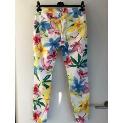SANDWICH bloem broek maat 36