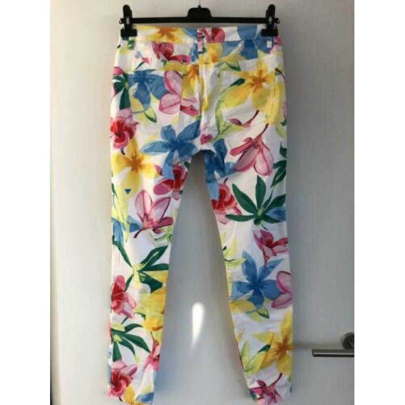 SANDWICH bloem broek maat 36