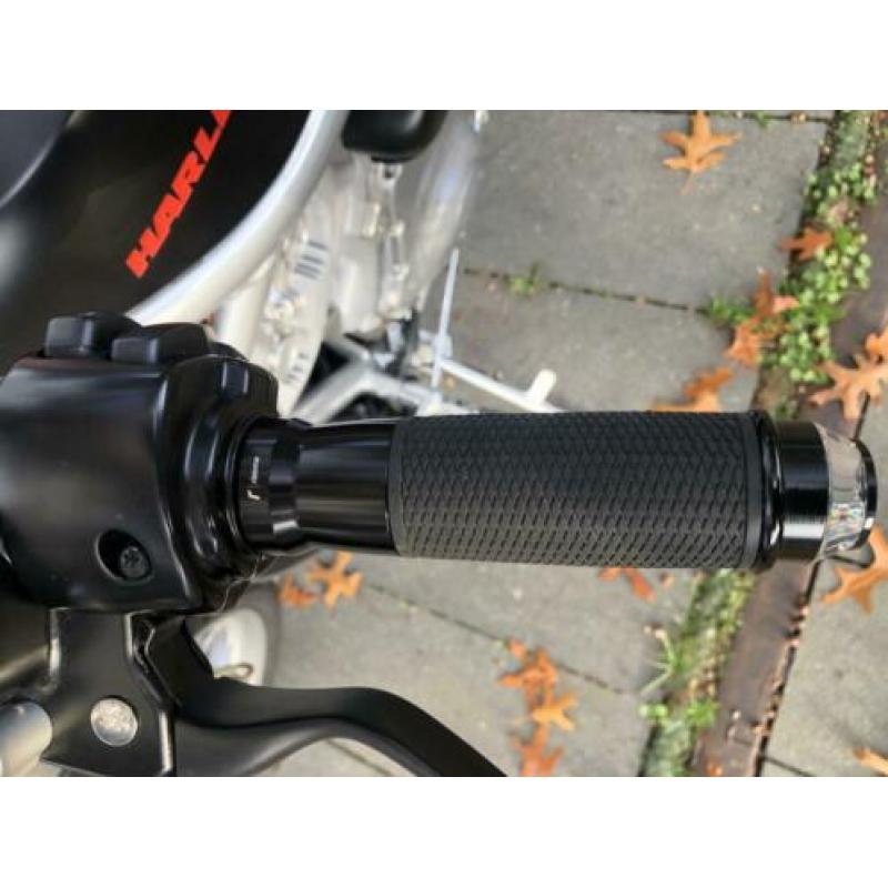 Harley Davidson Night Rod V-Rod Screaming Eagle