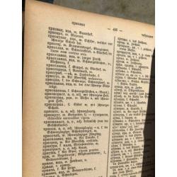 SERVISCH DUITS WOORDENBOEK 2 delig ANTIEK 1895 izgst