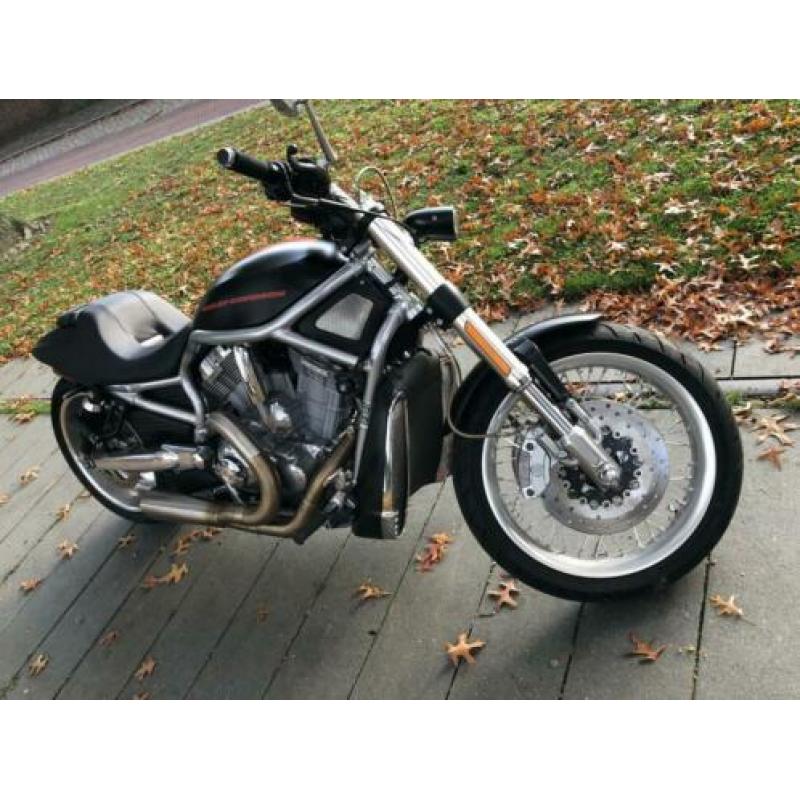 Harley Davidson Night Rod V-Rod Screaming Eagle