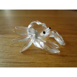 Te koop van Swarovski de Krab mini