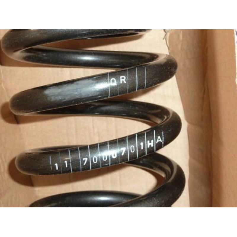 Musketier (Eibach) verlagingsveren 407 1.6HDI, 2.0-, 2.2 16V
