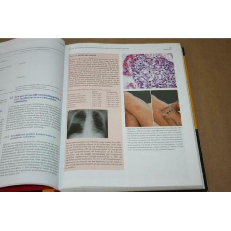 Immunologie (standaardwerk)