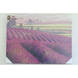 Canvas lavendelvelden Provence Frankrijk