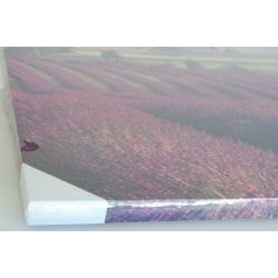 Canvas lavendelvelden Provence Frankrijk