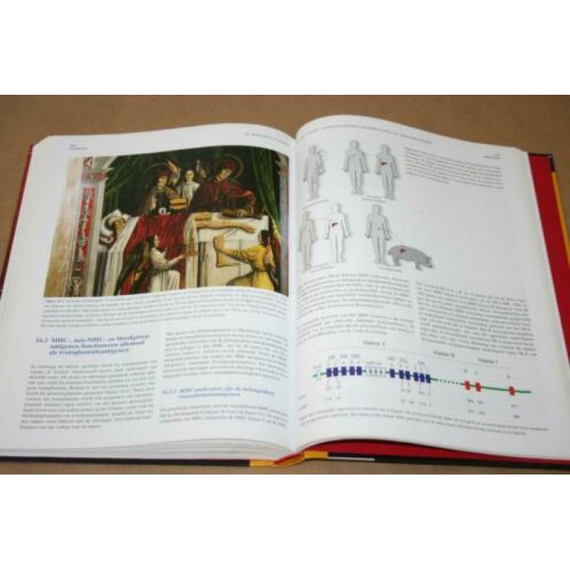 Immunologie (standaardwerk)