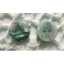 Vintage Abalone parelmoer imitatie knopen nr. M1212