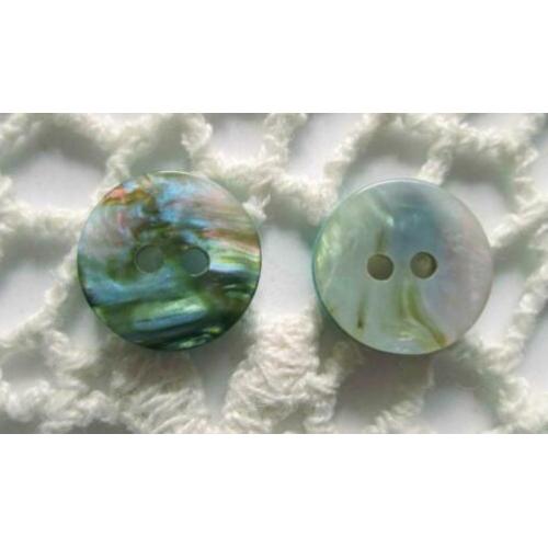 Vintage Abalone parelmoer imitatie knopen nr. M1212