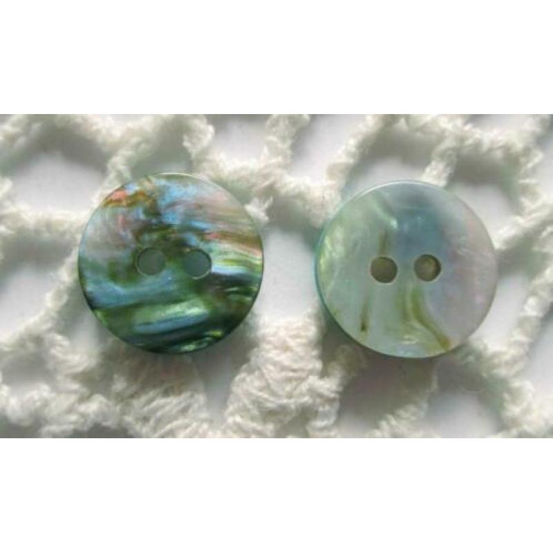 Vintage Abalone parelmoer imitatie knopen nr. M1212