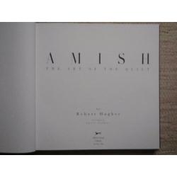 Amish The art of the Quilt van Robert.Hughes