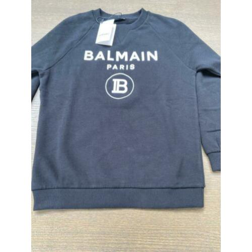 Balmain sweatshirt