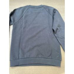 Balmain sweatshirt