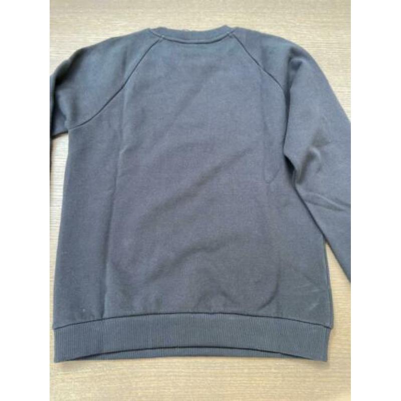 Balmain sweatshirt