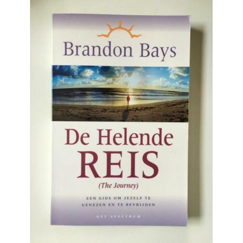 Boek De Helende Reis Brandon Bays Het Spectrum