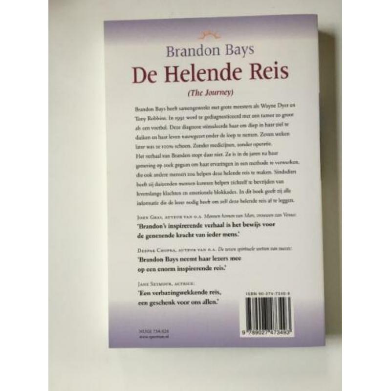 Boek De Helende Reis Brandon Bays Het Spectrum