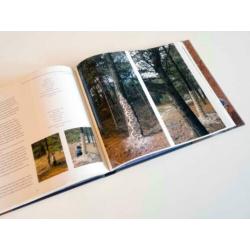 Time | Andy Goldsworthy | Thames & Hudson