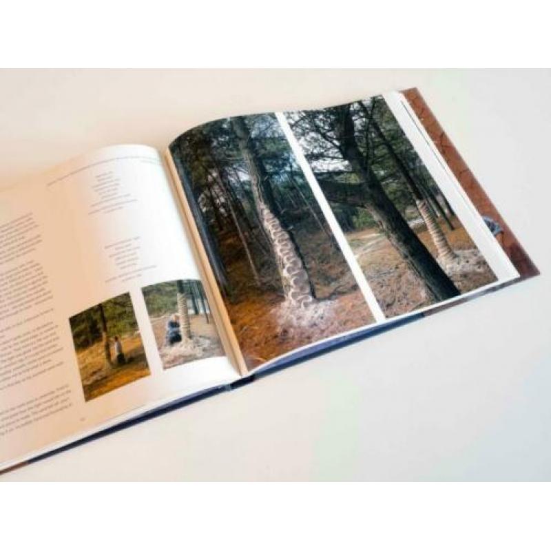 Time | Andy Goldsworthy | Thames & Hudson