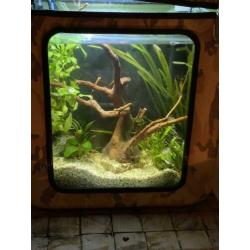 Luxe aquarium | LEGER tank | Incl. Toebehoren