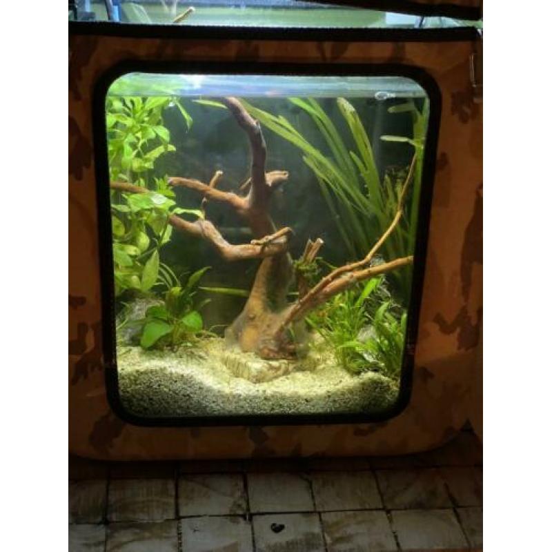 Luxe aquarium | LEGER tank | Incl. Toebehoren