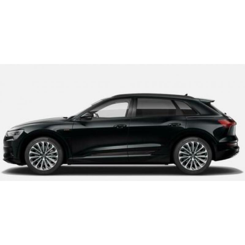 Audi e-tron 55 Business Edition Plus 300kw/408pk 95Kwh * ZWA