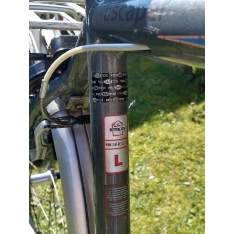 Giant Escaler herenfiets, framemaat L