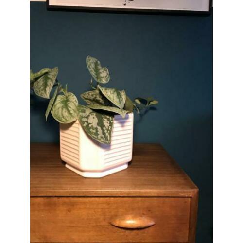Roze bloempot urban jungle hangpot vintage