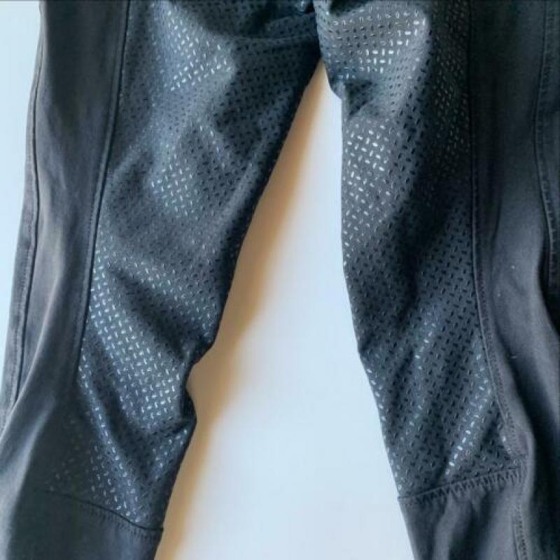 Pikeur maat 36