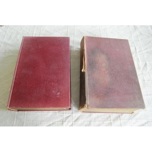 2 zware oude woordenboeken Latijnsch en Grieksch