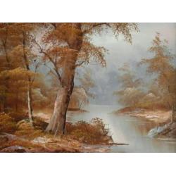 Sprookjesachtig bos met beekje - mooi landschap met bomen