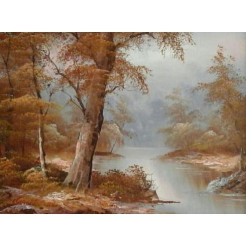 Sprookjesachtig bos met beekje - mooi landschap met bomen
