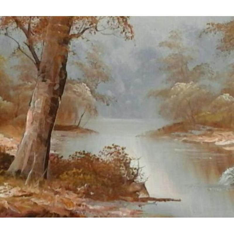 Sprookjesachtig bos met beekje - mooi landschap met bomen