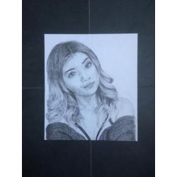 Portrait commissions