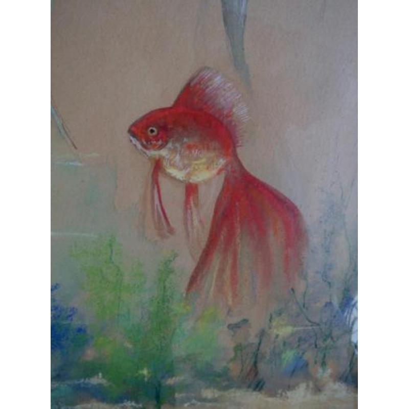 vissen in het aquarium - Henri Taverne 1896-1965