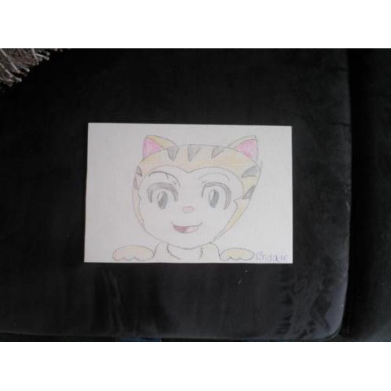 Tekening poes 16