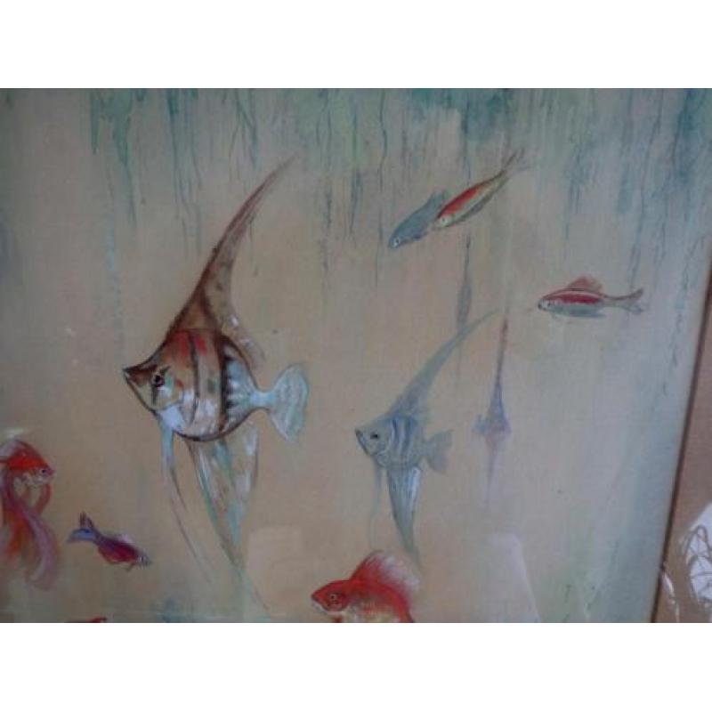 vissen in het aquarium - Henri Taverne 1896-1965