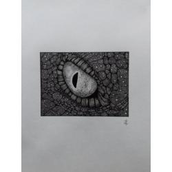 Krokodillen oog
