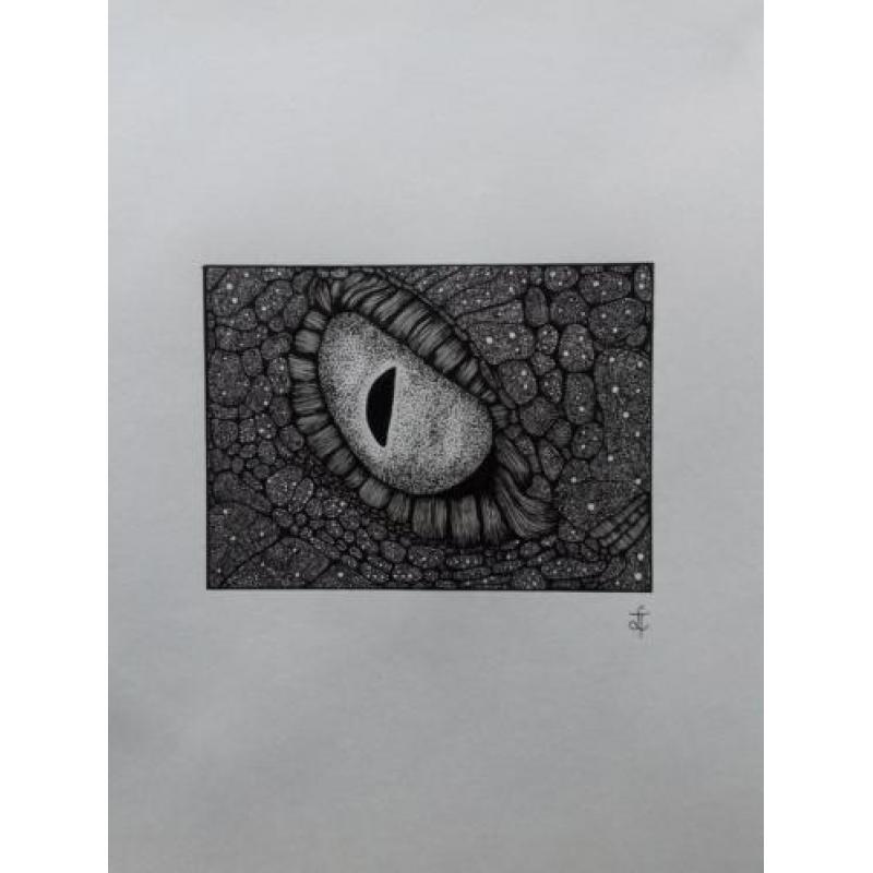 Krokodillen oog