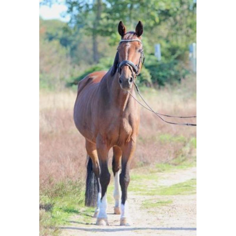 Lieve 11-jarige ruin