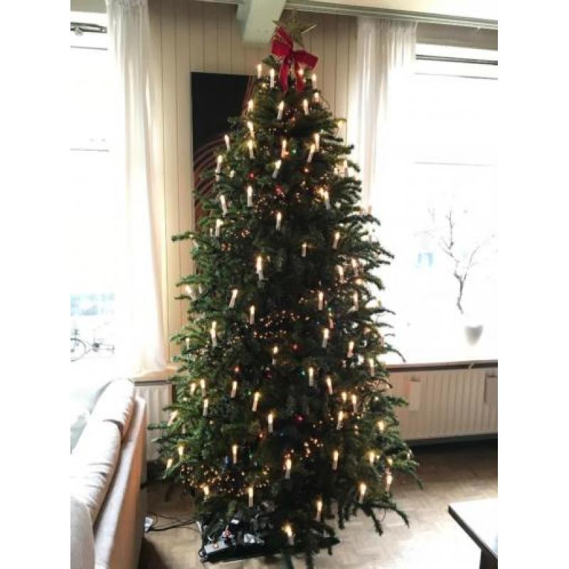 Kunstkerstboom Triumph Tree Swiss Alpine 260cm !