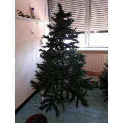 Kerstbomen en kerstversiering