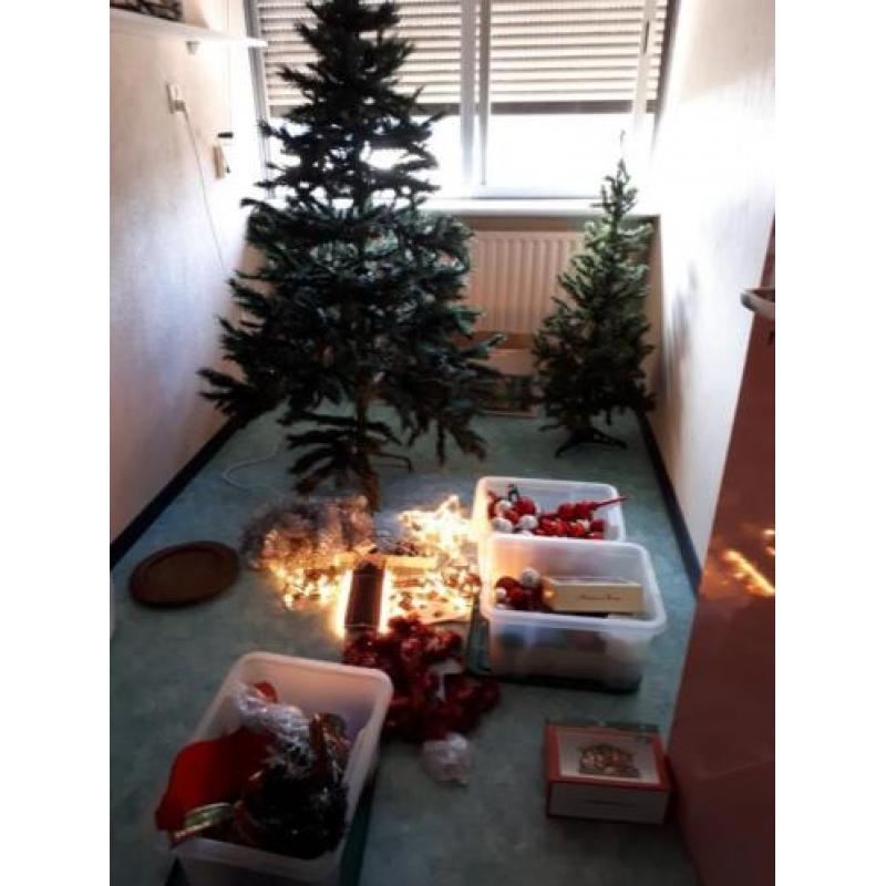 Kerstbomen en kerstversiering