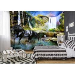 Fotobehang Paard bij de waterval, paarden VLIESbehang