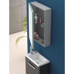 Fonteinkast Domino Met Spiegelkast 40 Cm Grijs