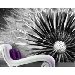 aanbieding Fotobehang 400x280cm dandelion voor €55