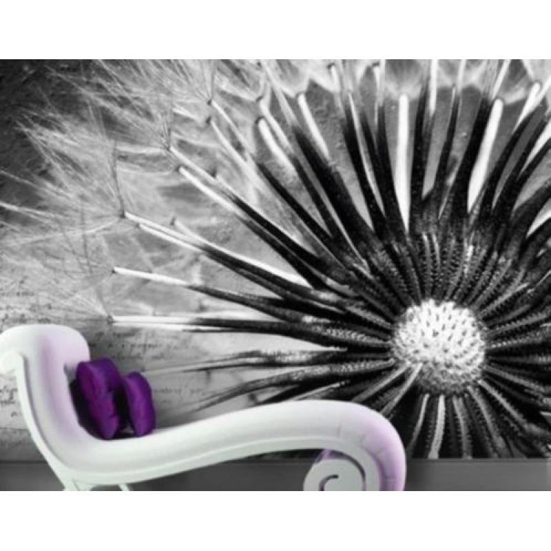 aanbieding Fotobehang 400x280cm dandelion voor €55