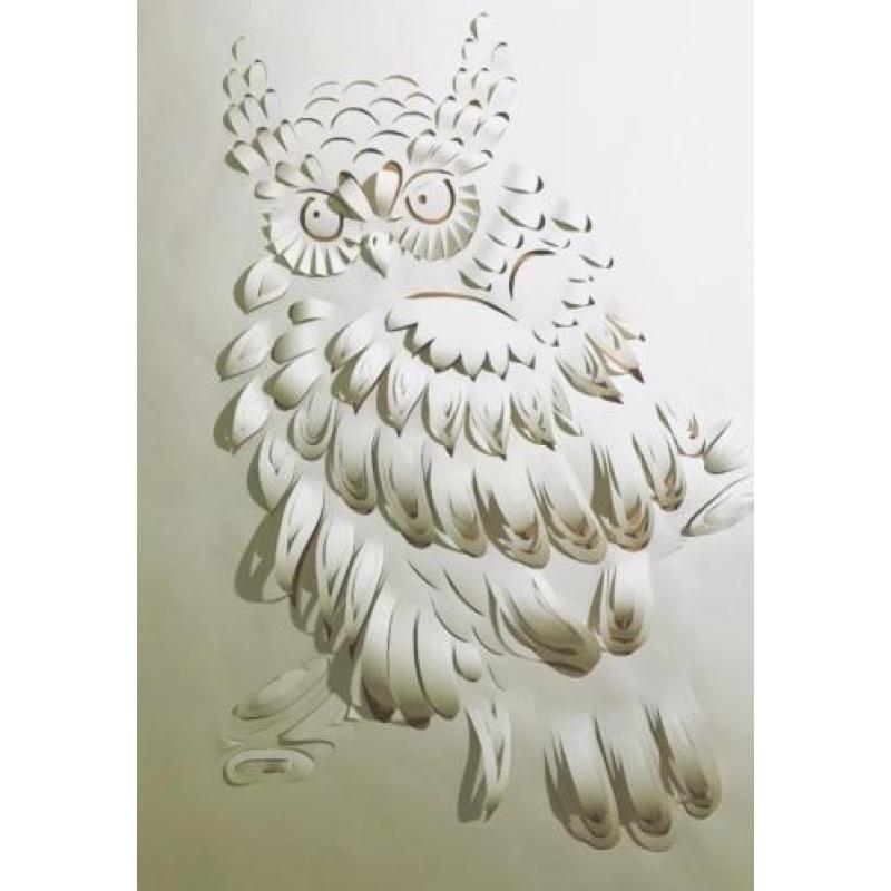 Uilen behang papercut met 3D effect